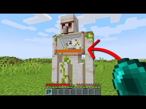 Unbelievable! Go Inside Any Mob in Minecraft!