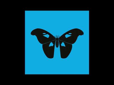 1NC1N - Digisynaptic Resonance [ZC014LP]