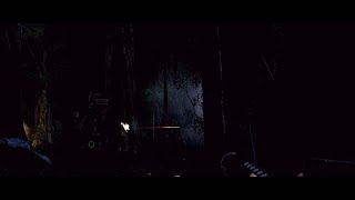 See No Evil - Operation Armstrong