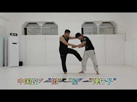 27硬核传武·借力打力之暴力三连摔：揿肘弹拧子