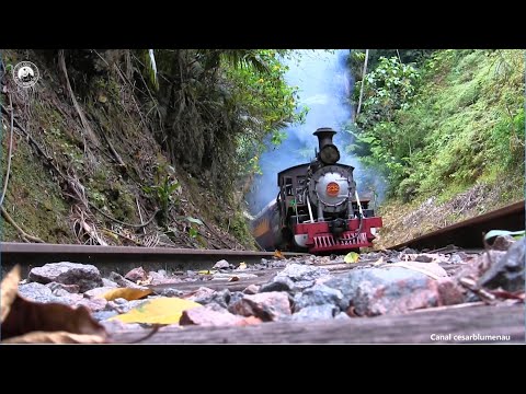 🇧🇷  20 minutos de trens e ferrovias / 20 minutes from trains and railways - 2024 - (Brasil) #train