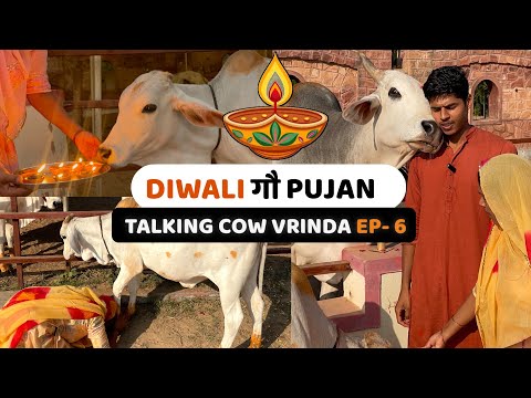 Vrinda’s First Diwali Vlog 😍 | Talking Cow | Episode - 6 | Cowsblike