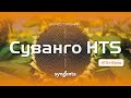 Насіння соняшнику Суванго