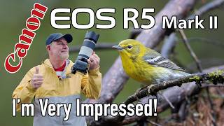 Canon R5 Mark II Bird & Wildlife Photography with 100-500mm Lens!