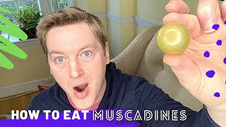 How to Eat Muscadine Grapes - Scuppernongs