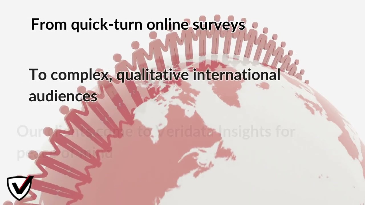 Veridata Insights Company Overview & 2023 Highlights