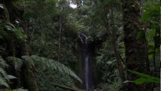 preview picture of video 'Waterfall near Boquete 1'