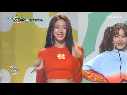 AOA - Bingle Bangle [Music Bank Ep 931]