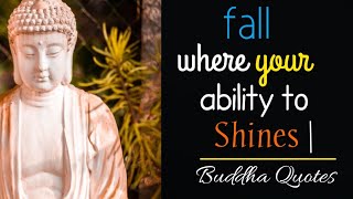 Fall your ability to shines |Buddha Quotes video|Karma status Whatsapp status||