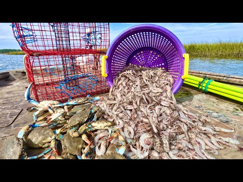 EPIC FALL-TIME SHRIMPING & CRABBING AT THE COAST!