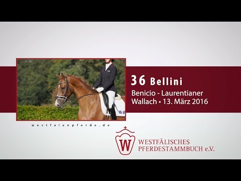36 Bellini  Wallach v. Benicio - Laurentianer