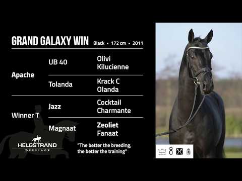 Grand Galaxy Win by Apache/Jazz -  open house 2018