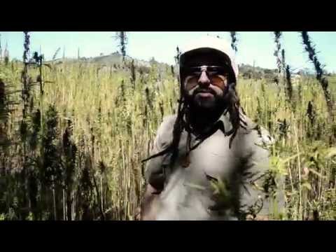 Maga Dog - Call It Weed [Official Video](Jan 2015)