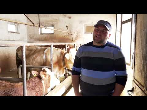 Naša priča ep. 343 24.03.2022. Nikola  Radotić, Obrež, Varvarin, mlečno govedarstvo, ratarstvo