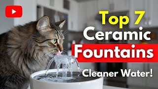Top 7 best ceramic cat fountain with filters review (Exclusi