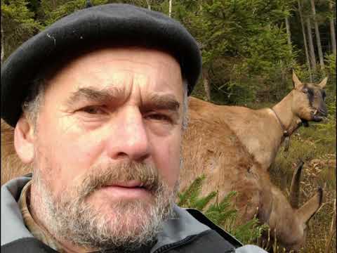 Mia samma Waidla & Mia sand koi Hintawaidla