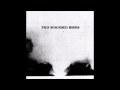 Two Wounded Birds - No Goodbyes 