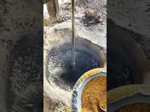 Fake Rice or Real Machine? 🤯 Watch Till The End! #ytshorts