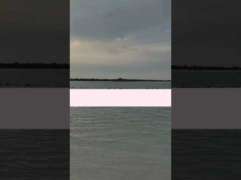 Love the beach and swing at Yas Island #beaches #yasisland #viral #golfer