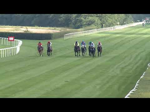 2019.09.08. 05. futam - TATTERSALLS - OVERDOSE DÍJ (HUN Gd-2) (NGL-IX.)