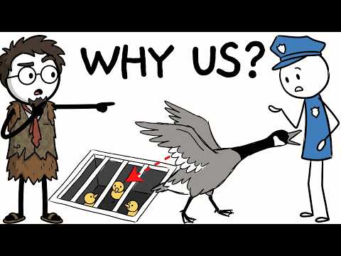 Why do Wild Animals Seek out Humans When They are in Trouble?