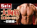 【5分間】胸を大きくする短時間集中型の自重メニュー【大胸筋】