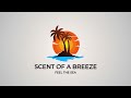 ️Beach Logo Animation Freelance