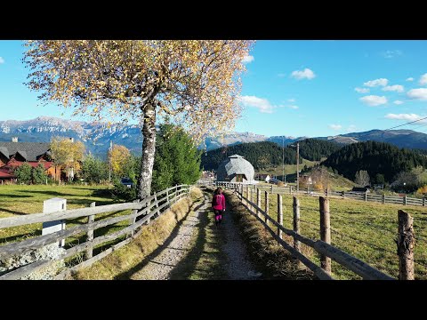 A fairytale autumn in the village of Fundata | the village located at the highest altitude in Rom...
