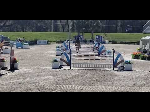 Malta SCF 1.30 Jumper Aaron Vale