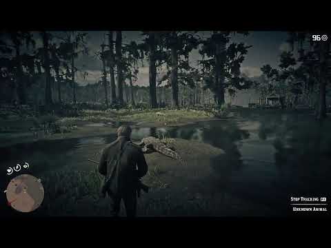 Red Dead Redemption II Playthrough Pt 60: My Last Boy