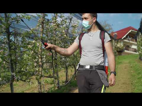 🌿 Idealna vrtna škropilnica 2025 – vodnik in napotki #vrt #škropilnica