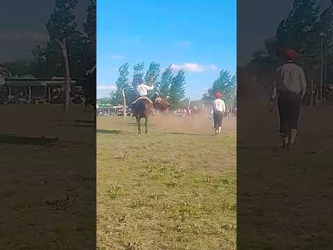 47° fiesta de la tradición buena esperanza San Luis