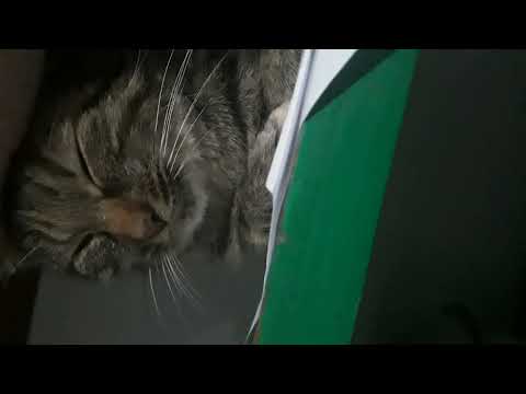 Luciana era un amor, algún día quizás la vuelva a ver