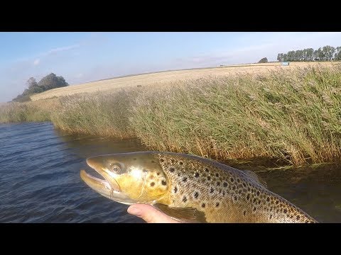 Flyfyn pro fishing guide
