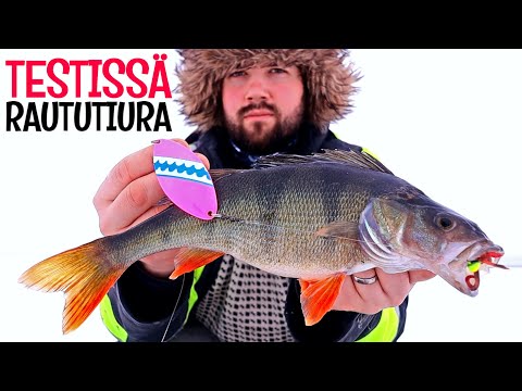 RAUTUTIURA AHVENPILKKINÄ - MITEN SE TOIMII ERI KALOILLE? - MITEN SITÄ UITETAAN? - MITÄ SYÖTIKSI?