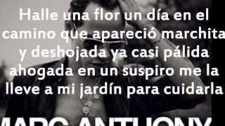 Marc anthony Flor Palida Letra