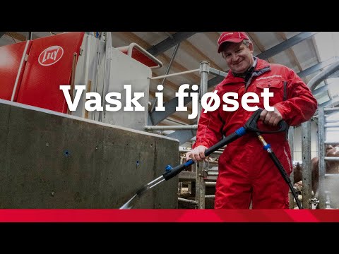 , title : 'Vask i fjøset'