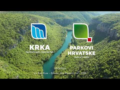 Krka, Wild nature: Fishes