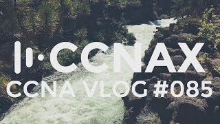 CCNA #085: MPLS Part 2: MPLS Labels and reasons to implement MPLS