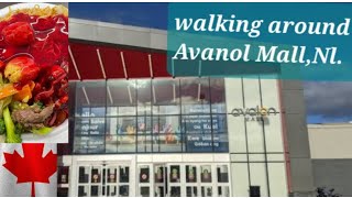 "Exploring the Delicious Food Options at Avalon Mall Food Court in St. John's, Newfoundland"#canada