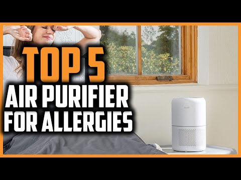 ▶️ The 5 Best air purifier for allergies in 2025
