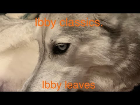 Ibby Classics! Episode 1 Ibby leaves!