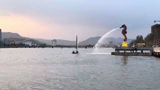 Sea Horse in kampot សេះសមុទ្រ