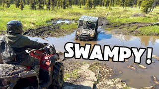 Deep Mud & Muskeg - Alaska ATV - Purinton Creek Trail Part 2