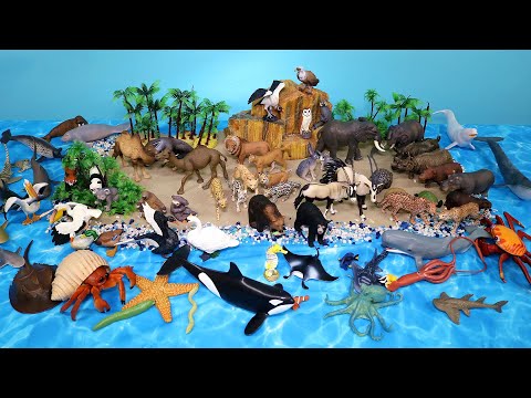 Land Animals and Sea Creature Figurines - Learn Animal Names