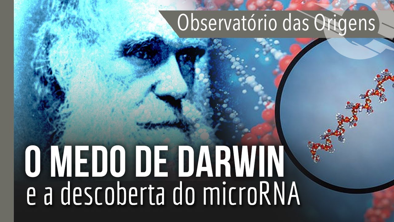OBSERVATÓRIO DAS ORIGENS: O medo de Darwin e a descoberta do microRNA