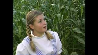 The Wizard of Oz re-imagined (THE PROPHET OF OZ) remake