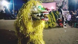 Download lagu Atraksi Macan Makan Burung Merak#kolaborasi merak,leak dan macan,jaranan Tirto Arum# mp3