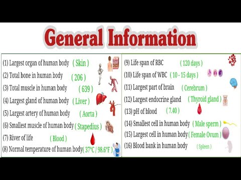 Human General Information Human Anatomy nursing