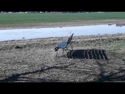 Veřejné polepšení - Destiny